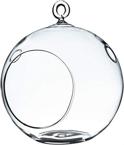 WGV Hanging Terrarium Globe, Width 5", Height 6", DIY Air Succulent Planter, Clear Glass Vase Orb with Flat Bottom, Candle Holder for Windowsill Outdoor Garden Decor, 1 Piece