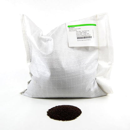 Southern Giant Curled Mustard Seeds: 5 Lb - Non-GMO Seeds for Herb Gardening, Growing Microgreens, Vegetable Garden