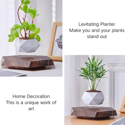 MOOCCI Floating Plant Pot Magnetic Levitating Plant Pot for Succulents, Air Bonsai and Fake Flowers and Plants, Unique Decor for Home, Office and Desk, Father's Day (Brown)
