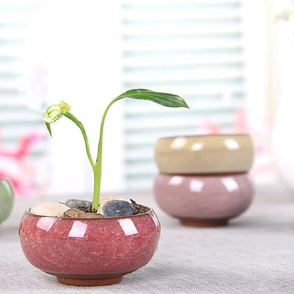 TOPZEA 16 Pack Mini Succulent Planter Pot, 2.5 Inch Ceramic Ice Crack Cactus Seed Starter Pots Micro Landscape Planter with Drainage Hole & Bamboo Tray for Moss Plant, Baby Succulent, Herb
