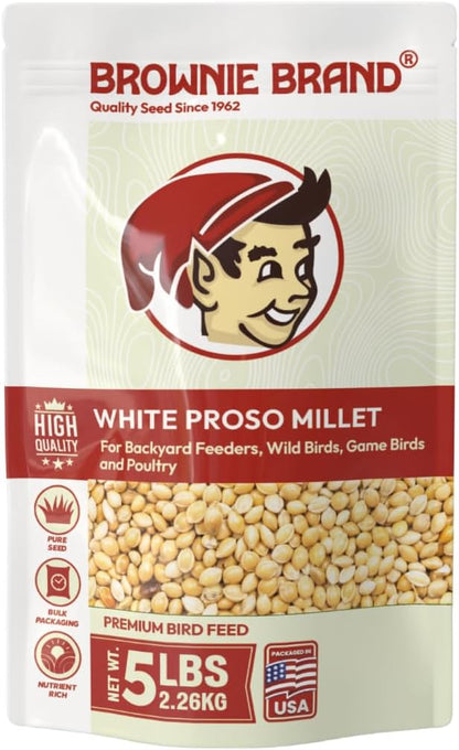BROWNIE Brand White Proso Millet Bird Feed for Bird Feeder | Premium Wild Bird Food for Sparrows, Finches, and Doves | High-Energy, Non-GMO, All-Season Feed for Feeders (3 Pound)