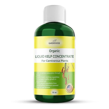 Organic Premium Kelp Seaweed Fertilizer: Indoor Plant Fertilizer & Carnivorous Plant Food for Venus Flytraps, Sundews, Drosera Capensis,Pitcher Plants,Butterworts & Other (32 OZ)