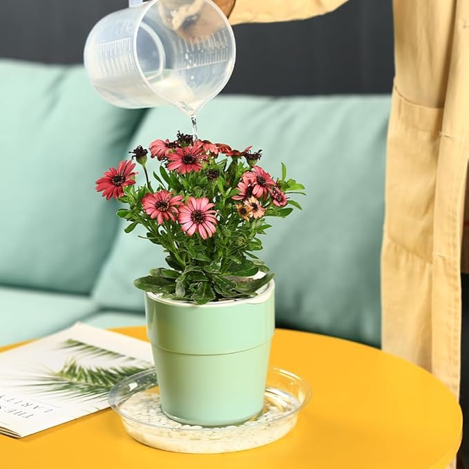 60 Packs Clear Plant Saucers for Indoor Outdoor Use 4/6/8/10/12/14 Inches Heavy Duty Plastic Plant Trays for Planter Bulk Flower Pot Drip Trays to Catch Water, Round Transparent