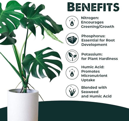 Liquid Plant Food All Purpose- House Plant Fertilizer- Liquid Fertilizer for Indoor Plants & Vegetable Garden- Concentrated Plant Nutrients - Green, Growth - Simple Grow Solutions- 32 Ounce