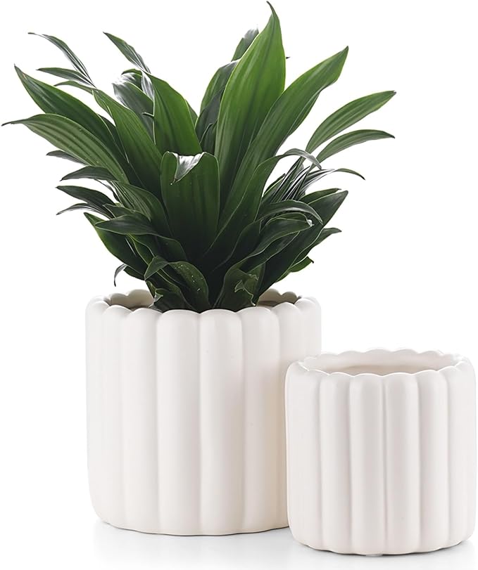 Ceramic Plant Pots,6 inch+4.7 Inch Planter Pot with Drainage Holes,Ceramic Planters for Indoor Plants,Modern Flower Pots for Indoor Outdoor Plants House & Office Décor,Cream White
