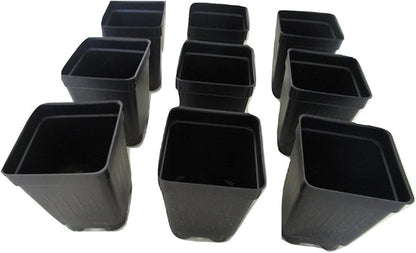 2.5" Square Extra Deep Landmark Nursery Pots - Press Fit (100)