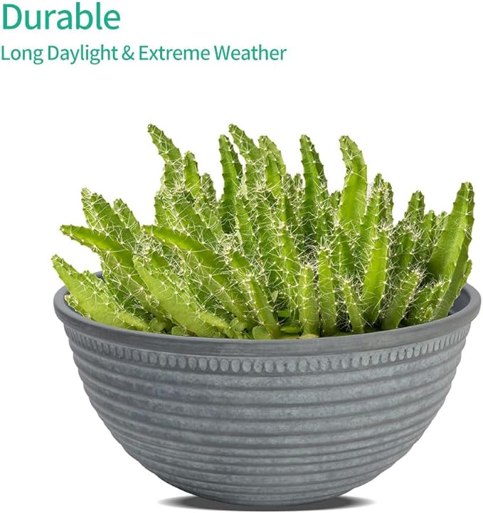 2 Pack 10 Inch Plant Pots,Durable Decorative Flower Pots Planters with Drainage Hole for Indoor and Outdoor Plants,Flowers,Succulents, Gray