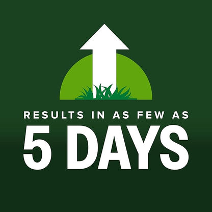 Scotts Kentucky 31 Grass Seed Mix for New Lawns or Overseeding - Lawn Grass Seed That Grows Thicker and Greener vs. Other Kentucky 31 Mixes, Covers up to 10,000 sq. ft.