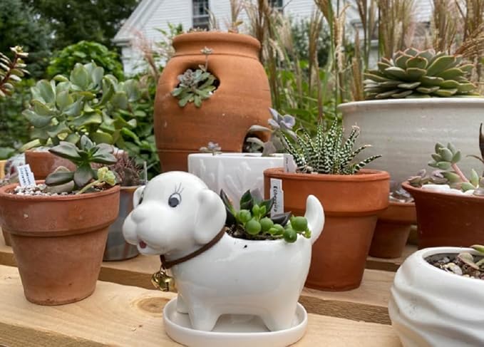 Ceramic Succulent Plant Pot Cactus Plant Pot Flower Pot Container Planter with Drainage Hole Home Office Desk Garden Gift Idea Animal Shaped Flower Pot Cute Vase Pot (White Dog)