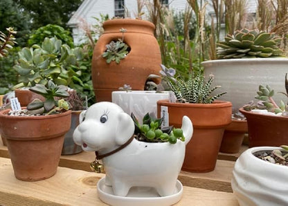 Ceramic Succulent Plant Pot Cactus Plant Pot Flower Pot Container Planter with Drainage Hole Home Office Desk Garden Gift Idea Animal Shaped Flower Pot Cute Vase Pot (White Dog)