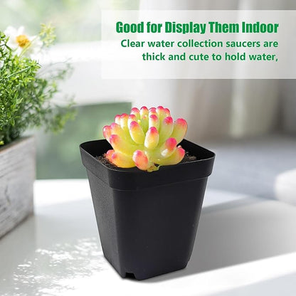 1200Pcs Square Nursery Pots 2.75 Inch, Deep Seed Starting Pot Small Plastic Plant Pots Flower Planter, Sturdy Seedling pots with Drainage Transplanting Planter Container
