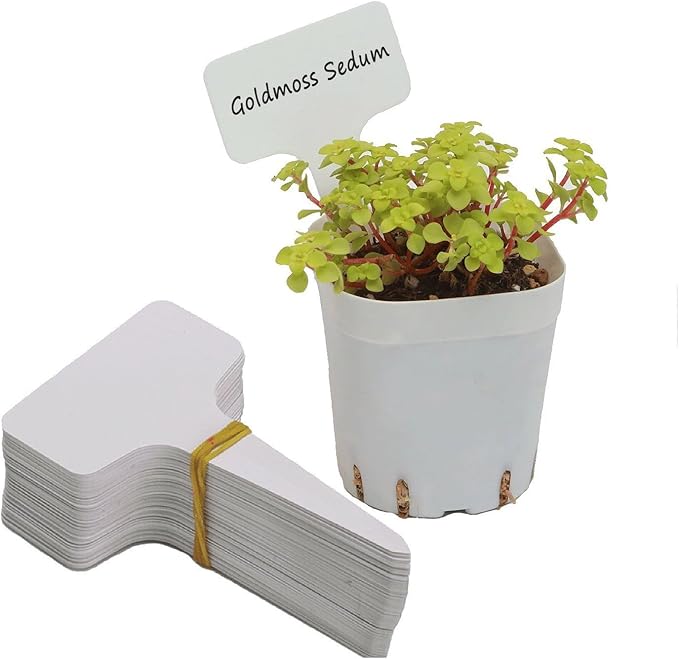 60 PCS 11 Inch Large Plant Labels, Waterproof Plastic Plant Tags, Lengthen T-Type Tags Nursery Garden Labels for Gardens, Greenhouses, Yards