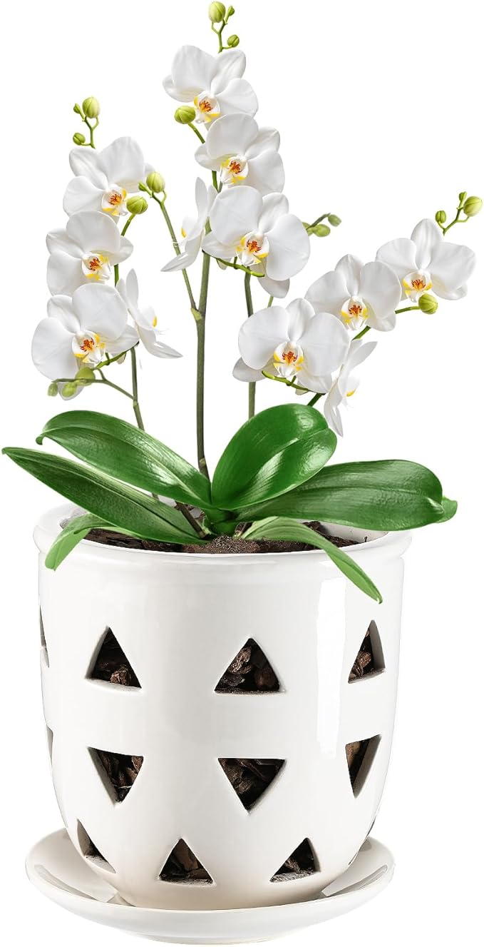 Aulock 6in Ceramic Orchid Pot with Drainage Holes, Decorative Planter, Excellent Airflow for Healthy Roots, for Repotting Indoor, Triangle Style