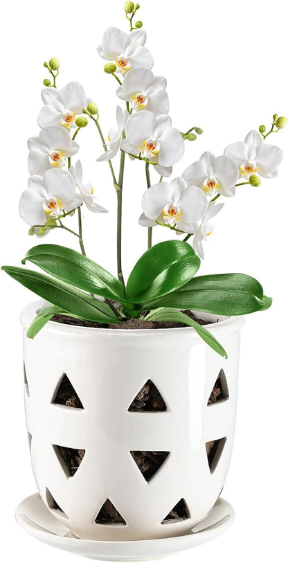 Aulock 6in Ceramic Orchid Pot with Drainage Holes, Decorative Planter, Excellent Airflow for Healthy Roots, for Repotting Indoor, Triangle Style