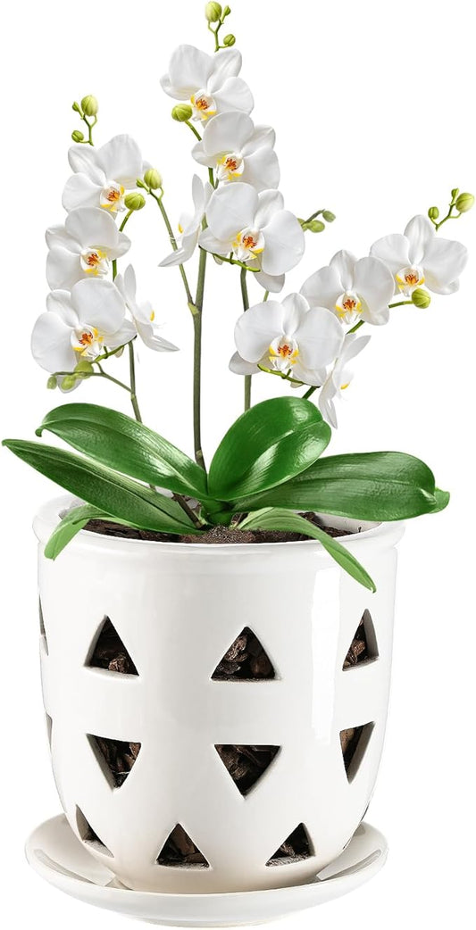 Aulock 6in Ceramic Orchid Pot with Drainage Holes, Decorative Planter, Excellent Airflow for Healthy Roots, for Repotting Indoor, Triangle Style