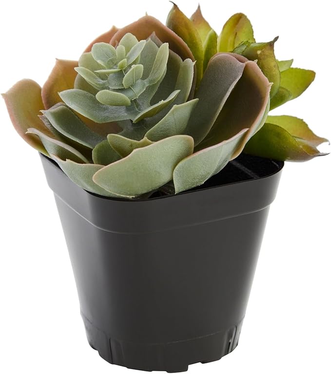 Juvale Square Nursery Pots - Seedling Planters with Drainage Holes - Versatile Pots for Plants & Succulents - Space-Saving Stackable Planters - 2.6 in, Pack of 300, Black