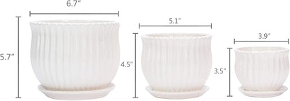 Ceramic Flower Plant Pots with Saucers, Modern Round Ceramic Succulent Planter Pots with White Stripe Texture, Small to Medium Sized, Set of 3