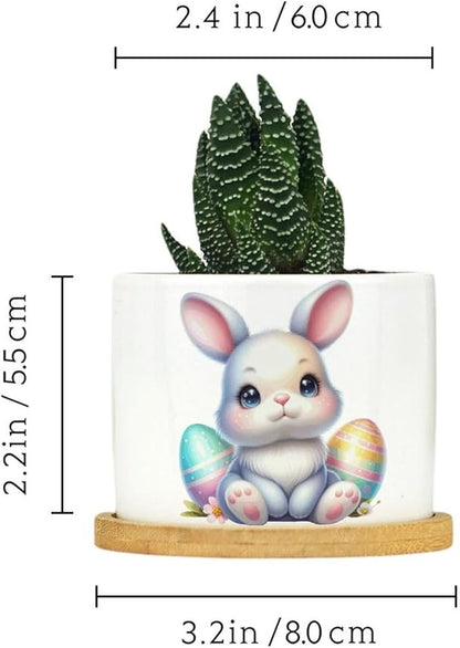 DreamAutumn Easter Bunny Ceramic Planters Ceramic Pots with Saucers Orchid Pots for Plants Succulents Pots Office Desk Garden Balconys New Home Decor,Gifts for Mom Mother Grandmother