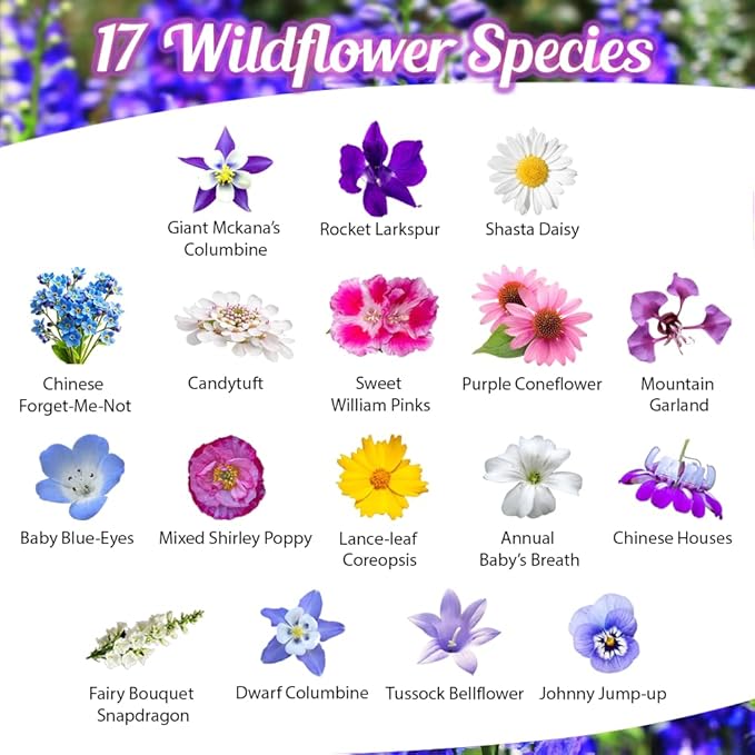BBB Seed Partial Shade Wildflower Seeds 4oz - Open-Pollinated Wildflower Seed Mix Packet, No Fillers, Annual, Perennial Wildflower Seeds for Planting Year Round, 1/4 Pound