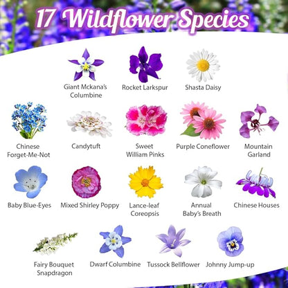 BBB Seed Partial Shade Wildflower Seeds - 1 oz Packet, Open-Pollinated Wildflower Seed Mix, No Fillers, Annual, Perennial Wildflower Seeds for Planting Year Round - 1 oz
