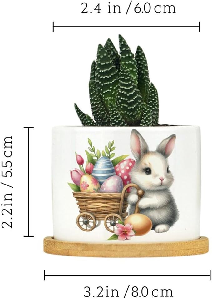 DreamAutumn Easter Bunny with Eggs Planter Ceramic Round Plant Pots with Drainage Holes and Bamboo Tray Planting Small Flower Pots for Home Windowsill Desk Garden Indoor Outdoor Use