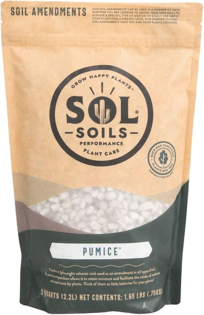 Sol Soils Horticultural Pumice - Lightweight, All-Natural Volcanic Rock Soil Amendment to Improve Drainage, Aeration & Maintain Moisture Balance – Filtered 3/8" to 1/4" - 2 Quarts