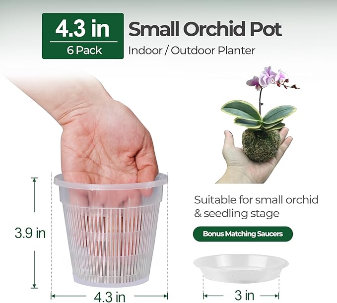 T4U Orchid Pot, 6 Pack 4.3 Inch Orchid Pots with Holes and Saucers, Clear Orchid Pots for Repotting, Plastic Flower Plant Pot for Indoor Outdoor Plants, Slotted Orchids Planter for Root Health
