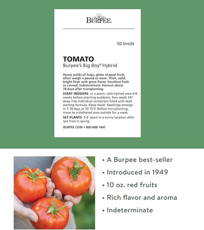 Burpee 'Big Boy' Hybrid Tomato Seeds, Large Slicing Tomato with Rich Flavor,50 Non-GMO Seeds