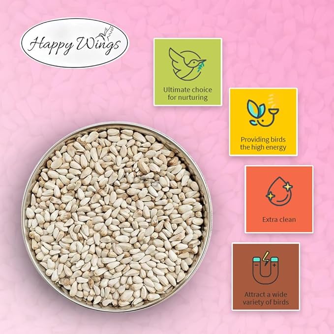 Happy Wings Safflower Seeds Wild Bird Food - 5 Pounds I No Grow Seed I Bird Seed for Wild Birds