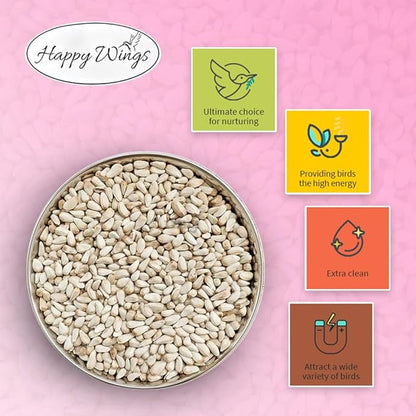 Happy Wings Safflower Seeds Wild Bird Food - 5 Pounds I No Grow Seed I Bird Seed for Wild Birds