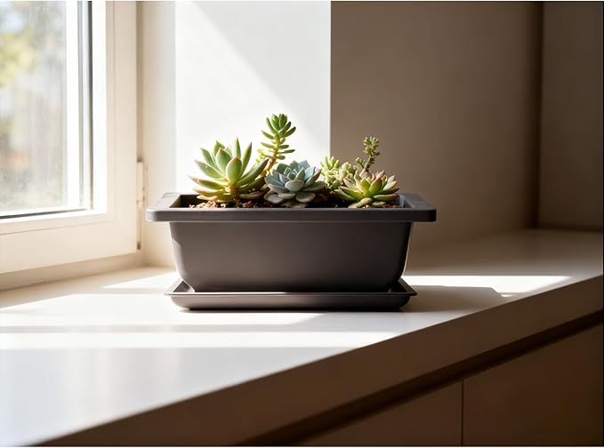 15 PCS 8.8 Inch Bonsai Training Pots, Bonsai Tree Growing Pots with 15 Drainage Trays, Plastic Bonsai Planter for Garden, Yard, Office, Porch, Balcony, Home Decoration