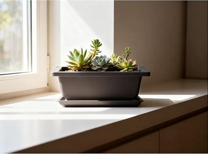 15 PCS 8.8 Inch Bonsai Training Pots, Bonsai Tree Growing Pots with 15 Drainage Trays, Plastic Bonsai Planter for Garden, Yard, Office, Porch, Balcony, Home Decoration