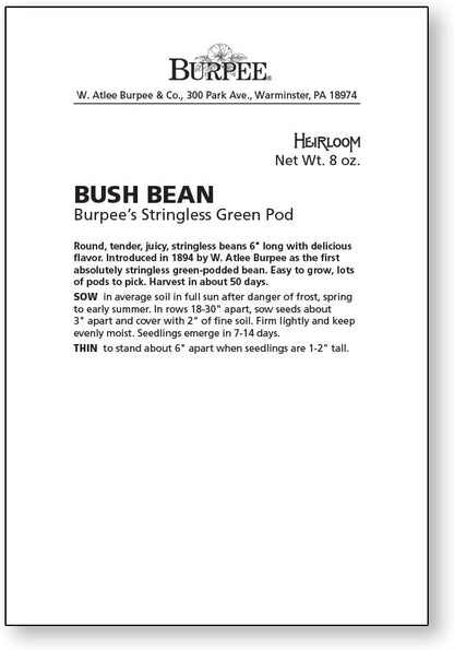 Burpee Stringless Green Pod Bush Bean Seeds 8 ounces of seed