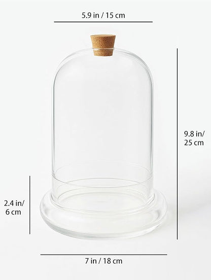 Handblown 10" Glass Terrarium with Opening for Air Flow & Cork Stopper Cloche Style Glass Dome Vivarium Display Case (Large)