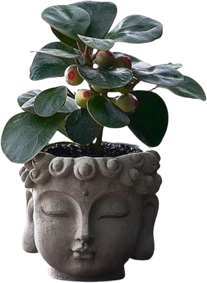 Buddha Head Planter with Drainage Hole - Zen Flower Pot for Succulents, Air Plants, Home & Office Decor, Gift for Plant Lovers (Indoor/Outdoor Use)﻿