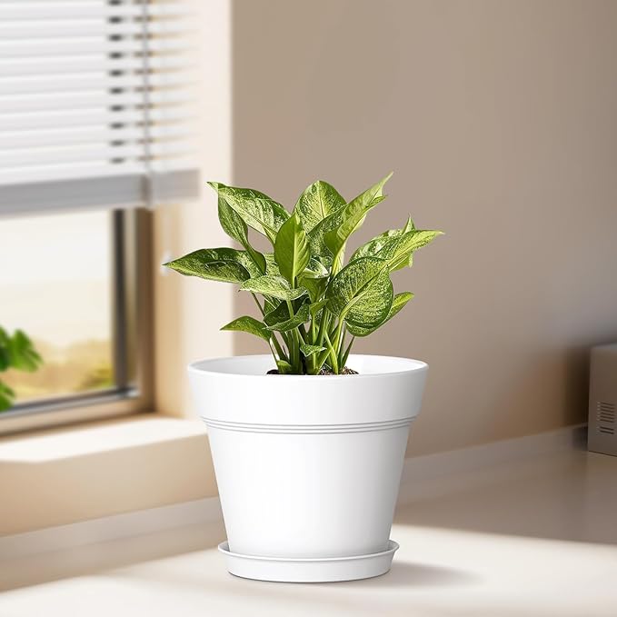 6 Inch Thick Plastic Plant Pots with Drainage Holes and Trays – 6 Pack Nursery Pots for Indoor & Outdoor House Plants, Seedling Starter Planters for Garden Flowers, White