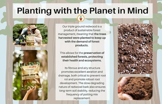 IvyMay Redwoods Potting Soil ― Organic Potting Mix for Indoor House Plants & Aroids, Ready to Use Potting Soil Indoor Plants with Perlite, Earthworm Castings, Essential Oils ― 4 qt