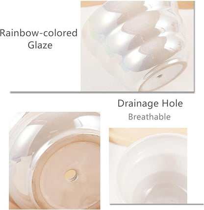 Pots for Indoor Plants, Rainbow Pearl Glaze Planters Set of 2 with Drainage Hole, 6 Inch Round Modern Pots for Flower Snakes Succulents, White and Pink