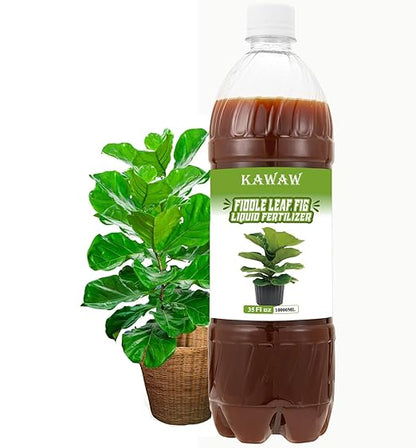Fiddle Leaf Fig Plant Food, Organic Microbial Probiotic Liquid Nutrient – 35oz (1000ml) Natural Indoor Plant Food for Ficus Lyrata & Houseplants