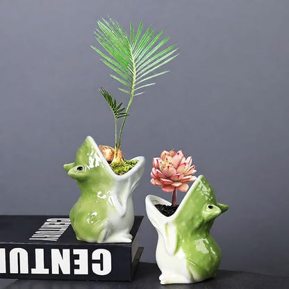 Cute Frog Succulent Planter Pot with Drainage Tray, Small Ceramic Cactus Flower Container, Funny Animal Shaped Indoor Air Plants Holder