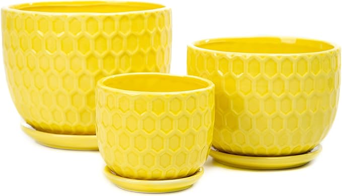 Yellow Ceramic Flower Pots with Saucers, Modern Round Ceramic Succulent Plant Pots with Honeycomb Inspired Texture Design, Small to Medium Sized, Set of 3