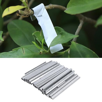 Zerodis 10000PCS Garden Bonsai Secateurs Branch Nail Tapener Staples, Silver, 0.6cm x 0.4cm x 10.6cm, for Fruit Vegetable Vine Tomato