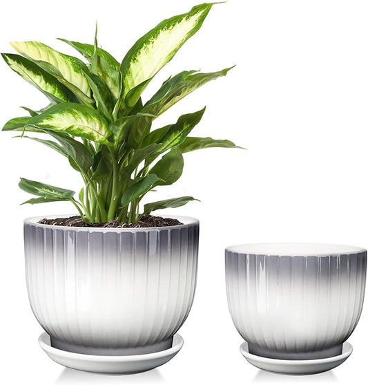 6.7 + 5.5 Inch Ceramic Plant Pots,Planters with Drainage and Saucer,Indoor Pots for Plants,Modern Flower Pots for Home and Office（Gray + White）