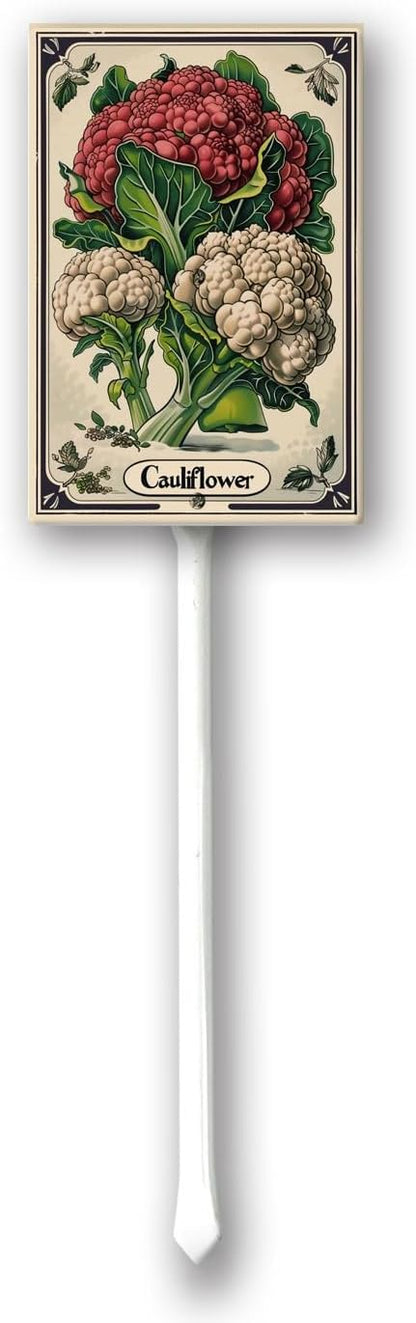 Uptell Vegetable Garden Cauliflower Yard Sign Label With Stake Plant Markers For Outdoor Plants Waterproof 8x12inch Nursery Garden Outdoor Sign