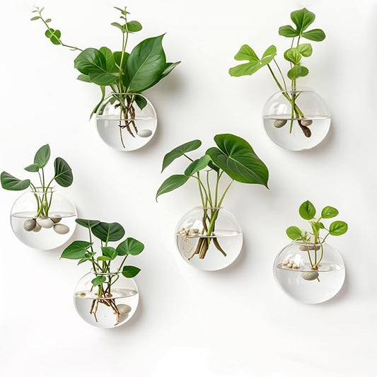 6 Pack Hanging Wall Vases, Glass Hainging Planter Propagation Station Terrarium, 4.7" Globe Wall Planters for Indoor Plants,Home Decor