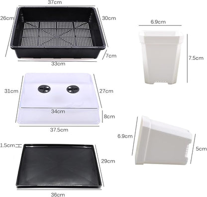 eZAKKA 37x30cm Seed Starter Tray Seedling Starter Kit Planting Propagation Trays Germination Kit Humidity Dome with 20 Pieces Square Seed Starter Pots (White Pots)