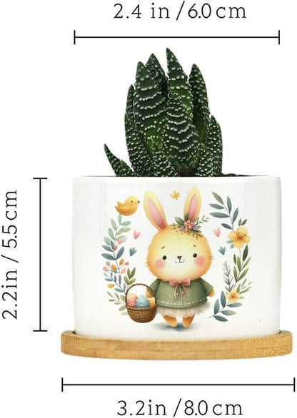 DreamAutumn Easter Bunny Rabbit Ceramic Planters Ceramic Pots with Saucers Orchid Pots for Plants Succulents Pots Office Desk Garden Balconys New Home Decor,Gifts for Mom Mother Grandmother