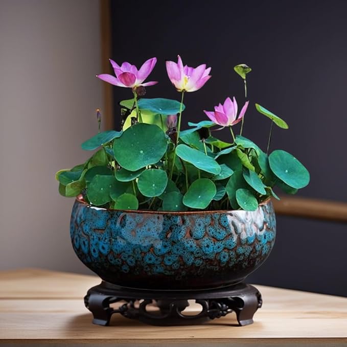 Lotus Bowl Planter, Lotus Bowls for Planting in Water Indoors, Bonsai Bowl Lotus Flower Seeds, Ceramic Planters for Indoor Plants (Blue)