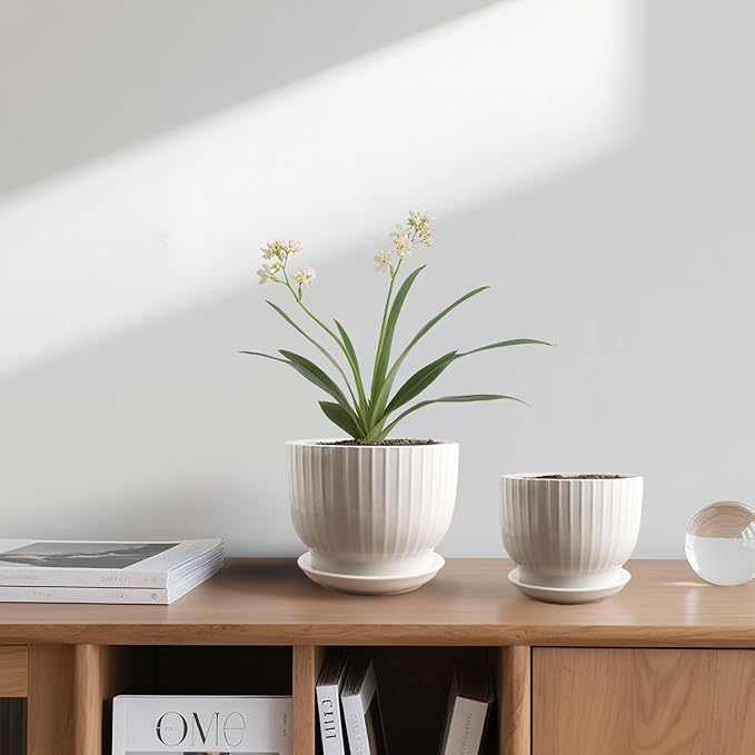 Ceramic Plant Pots,6.7 + 5.5 Inch,Ceramic Flower Pots,Planters with Drainage Hole and Saucer,Planters for Indoor Plants(Pure White)