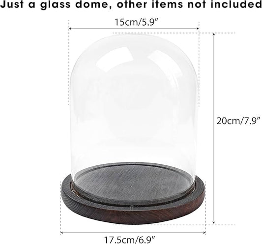 Glass Dome with Base for Display, Wooden Cloche Bell Jars 5.9" x 7.87" Case Cover Large Terrarium Cloches Pocket for Watch Flower Small Plastic Ornament Candle Plant Decorative Home Party Wedding Decor